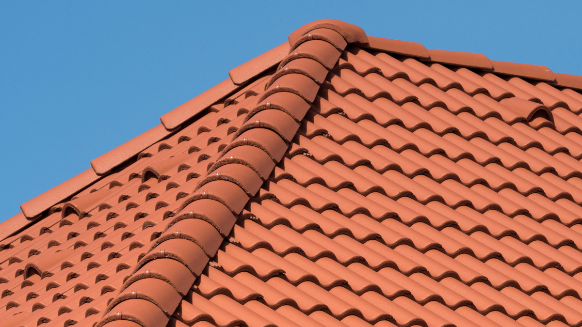 Bejegyzés kiemelt képe