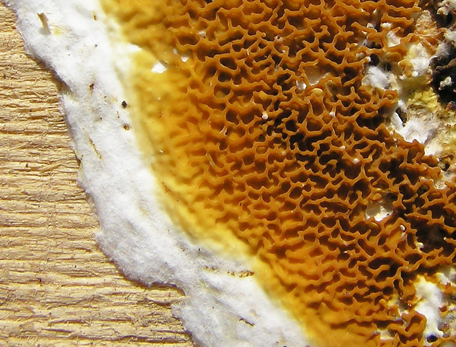 Bejegyzés kiemelt képe